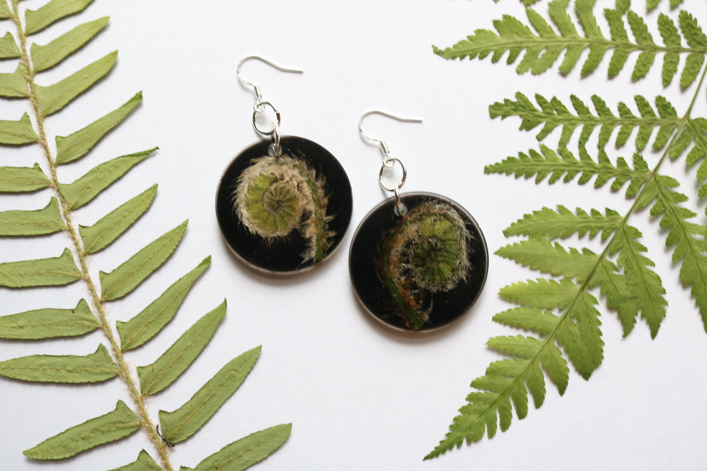 Fiddlehead fern circle earrings