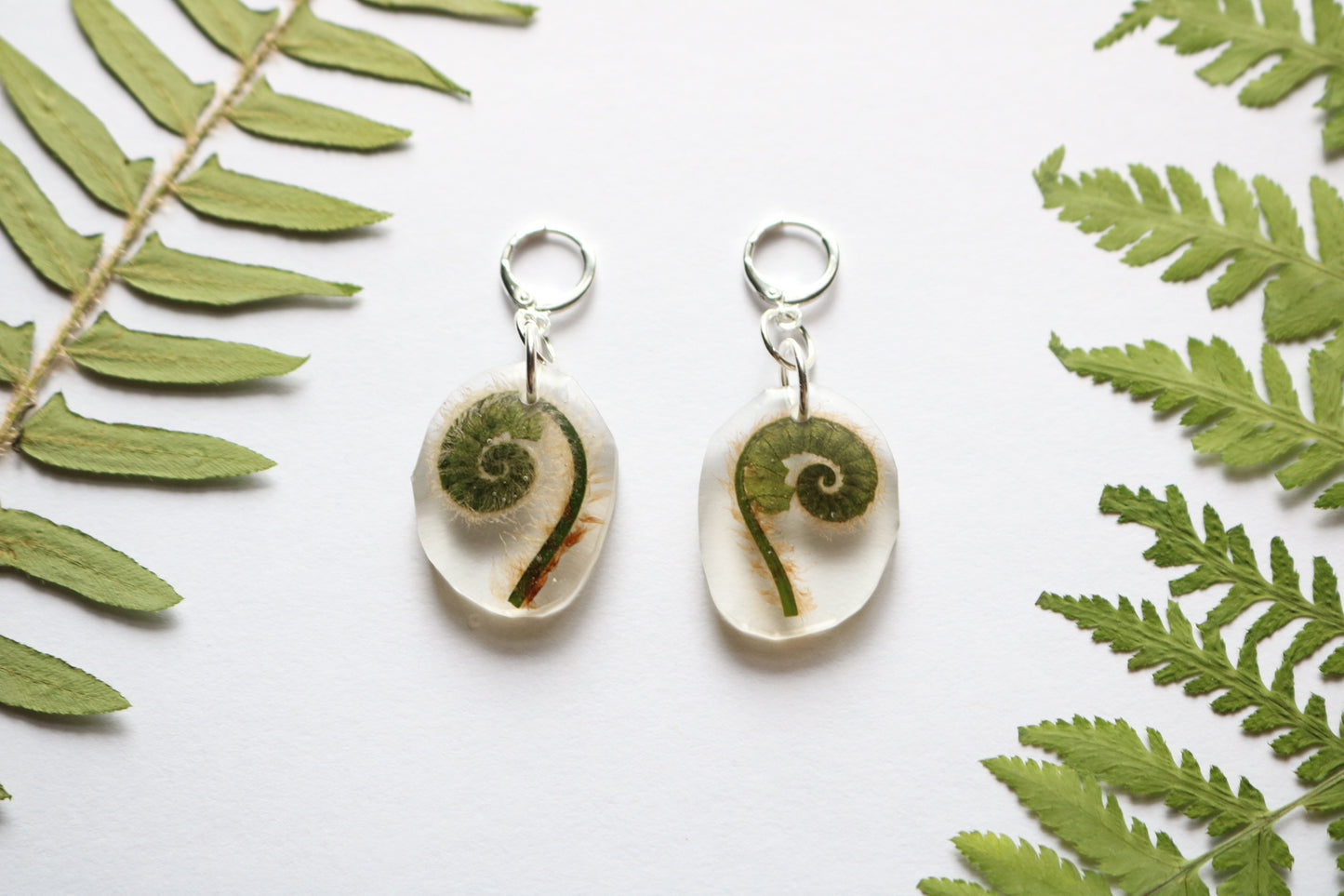 Fiddlehead fern earrings